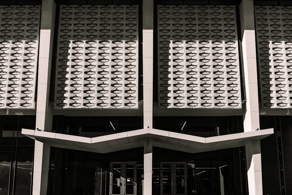 Creative performance space hosting a public programme